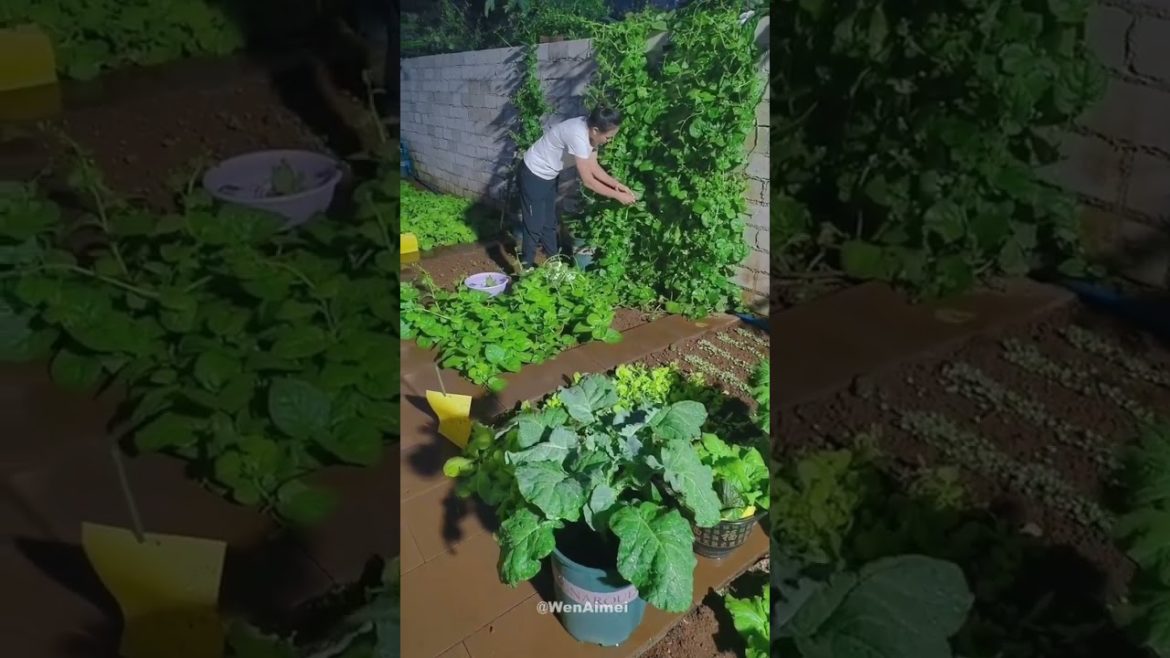 Beautiful Nature with Rural Life #shorts #naturalife #rurallife