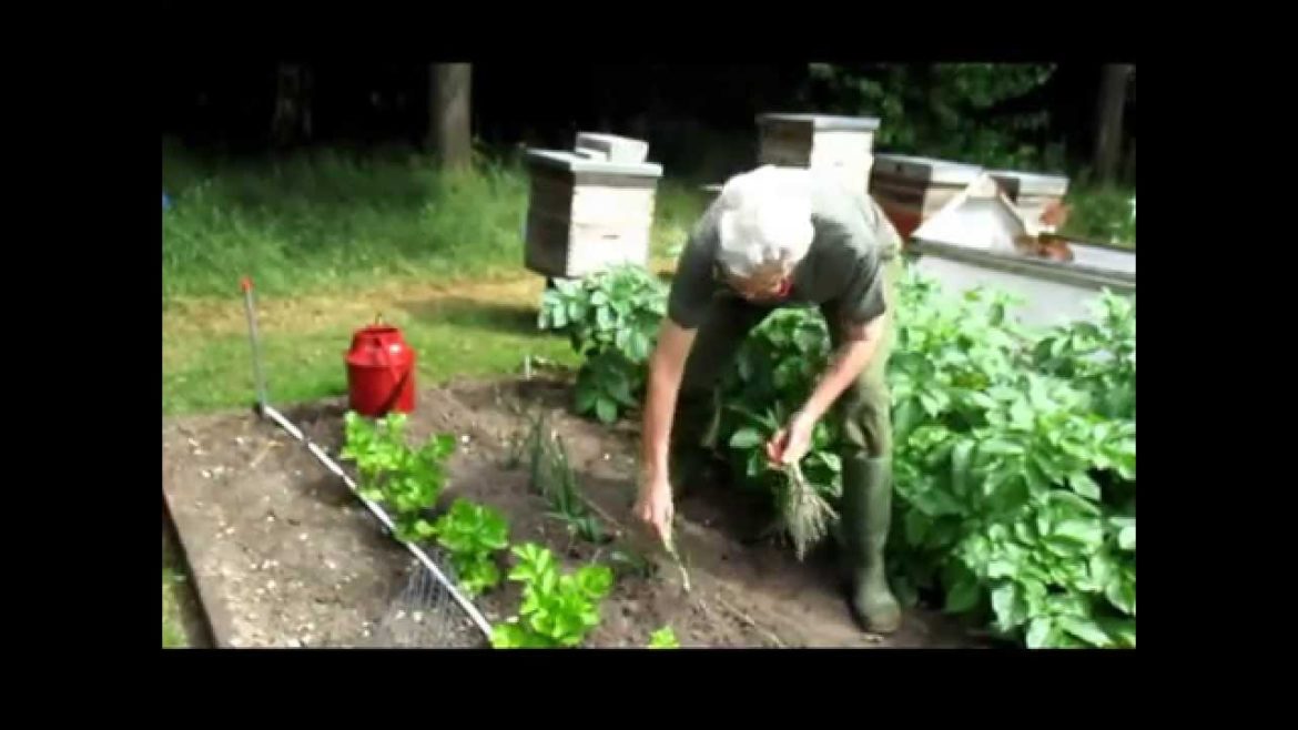 Breckland Master Gardener organic growing tips
