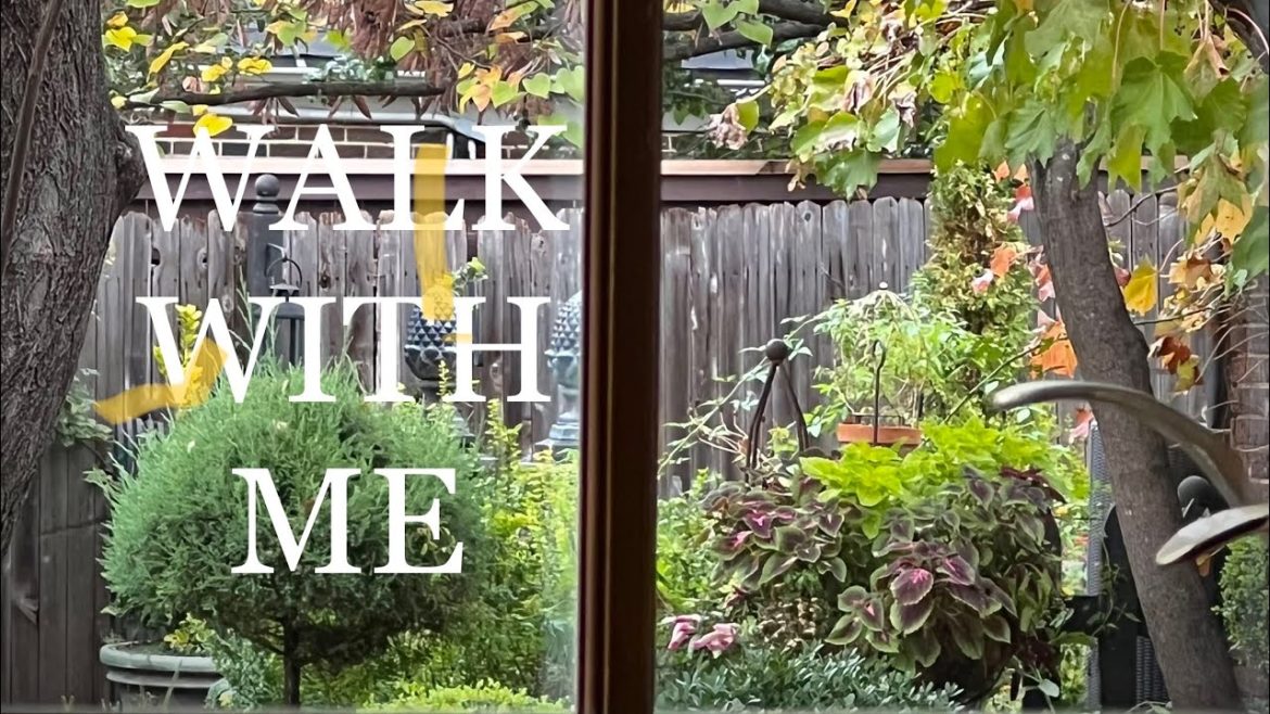 Tour the Front Yard Garden with Me