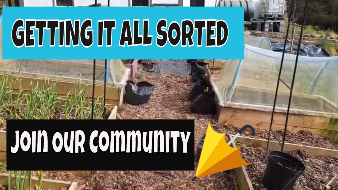 🎬 101 – ADDITIONAL STRUCTURE TO THE GARDEN, PATHS, PLANS AND MORE POTATOES 🎬 101 - ADDITIONAL STRUCTURE TO THE GARDEN, PATHS, PLANS AND MORE POTATOES