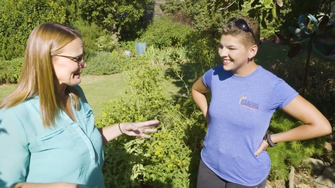 Fairy Garden at The Botanic Garden at OSU Fairy Garden at The Botanic Garden at OSU