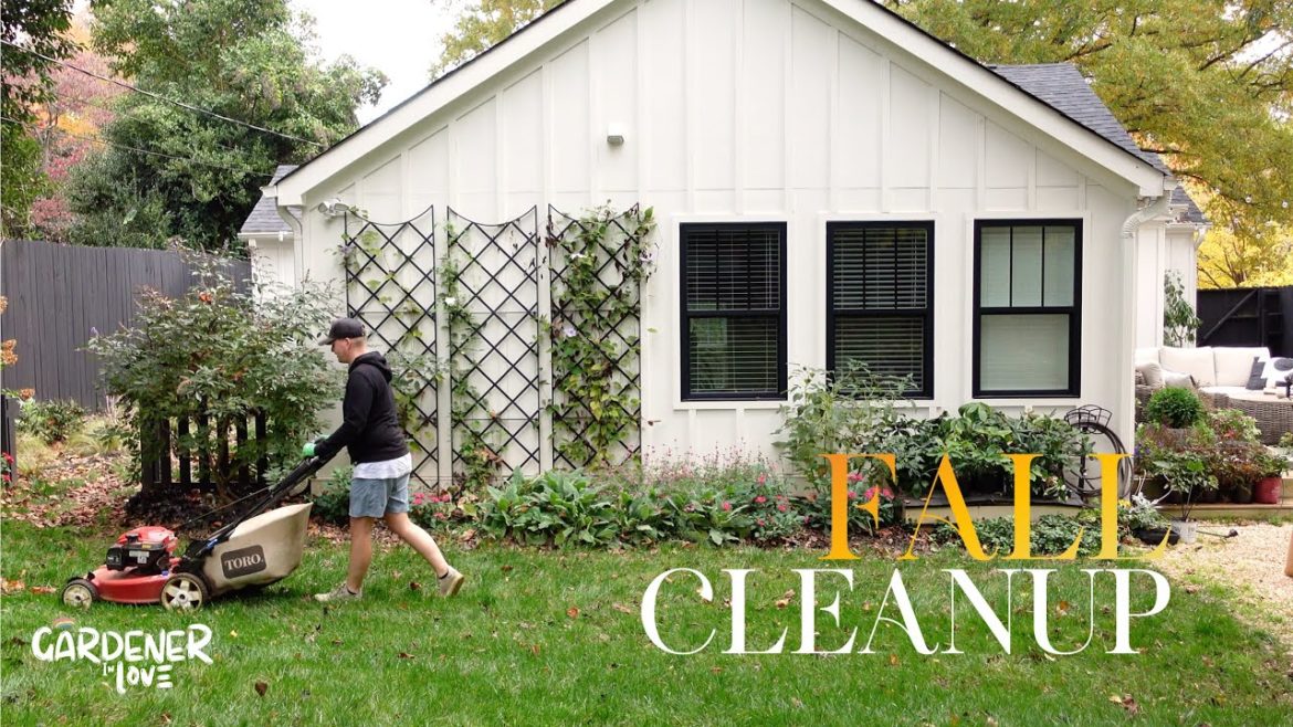 Fall Cleanup | Gardener in Love
