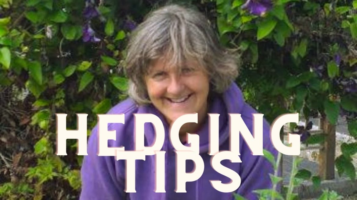 Hedging tips with The Quarantine Gardener Hedging tips with The Quarantine Gardener