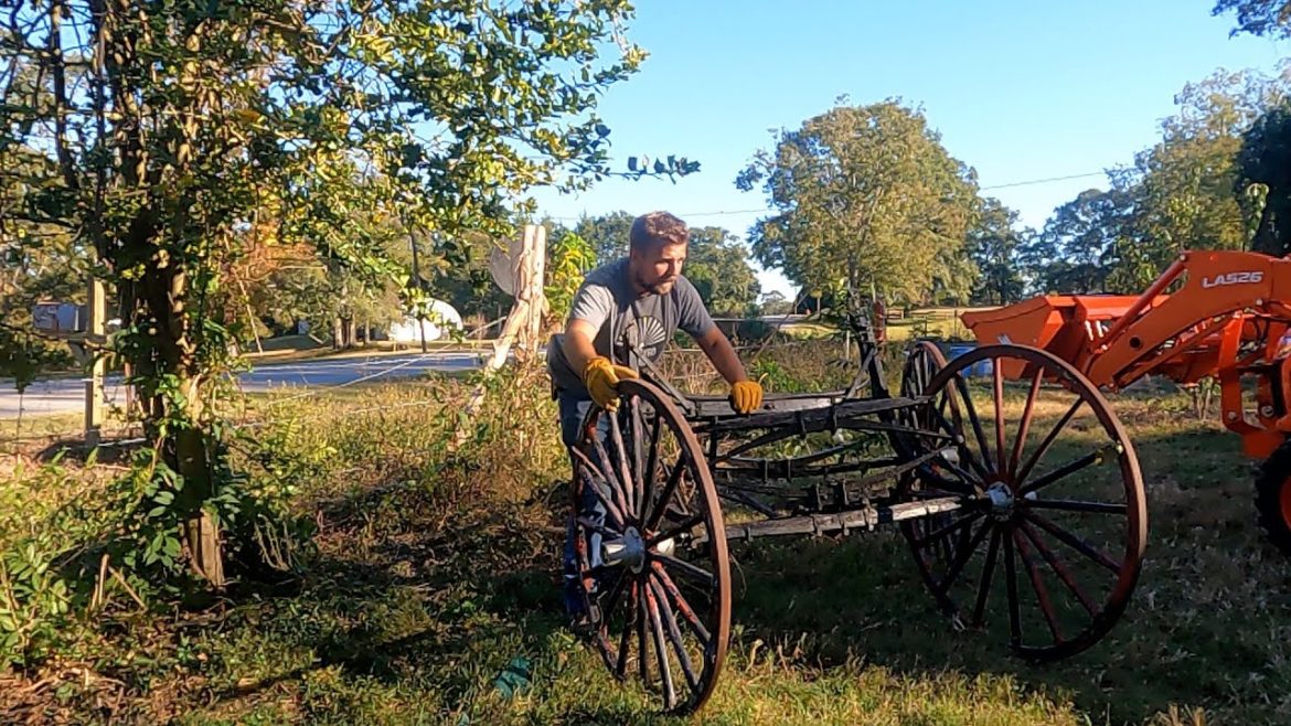 FENCE LINE CLEAN UP | RESCUING RAN WHEN PARKED BUGGY FROM WISTERIA