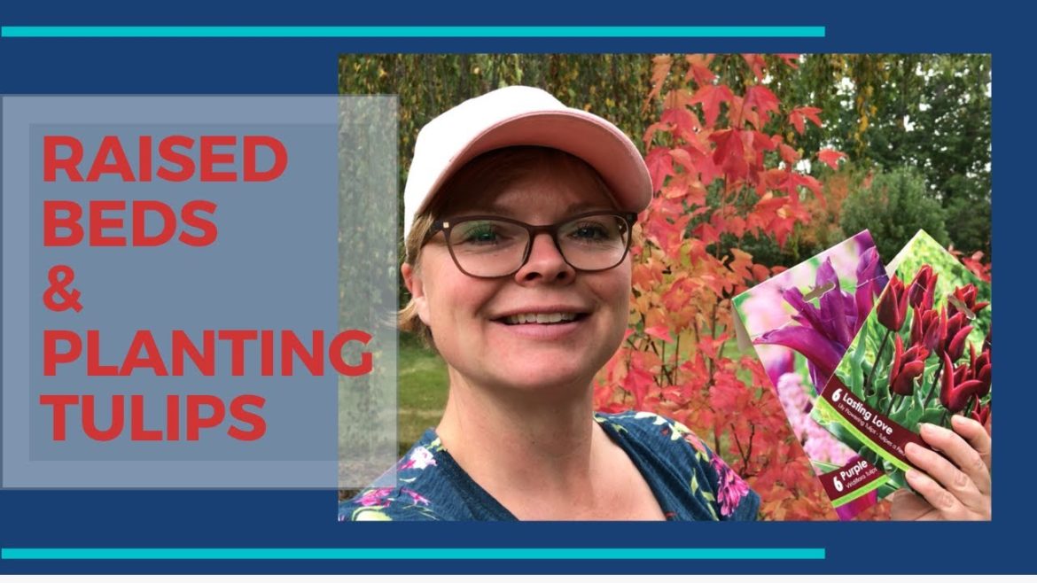 Making Raised Beds for Vegetable Gardening and Tips for Planting Tulips