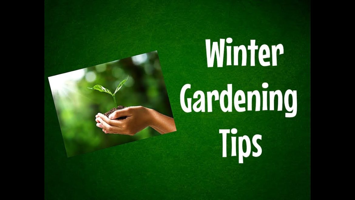BEST GARDENING TIPS FOR WINTER SEASON BEST GARDENING TIPS FOR WINTER SEASON