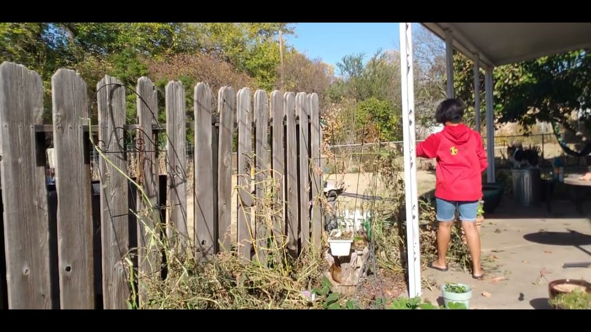 Fall Cleaning in my Backyard Garden|DING'S Simple Living