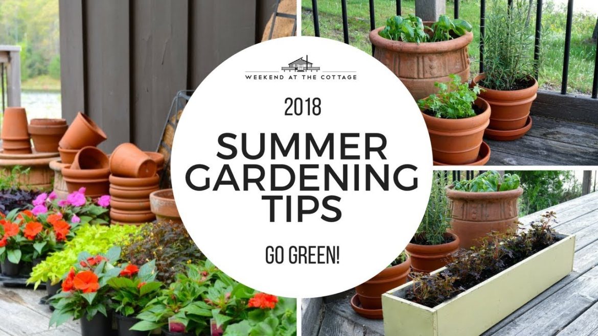 SUMMER GARDEN TIPS 2018