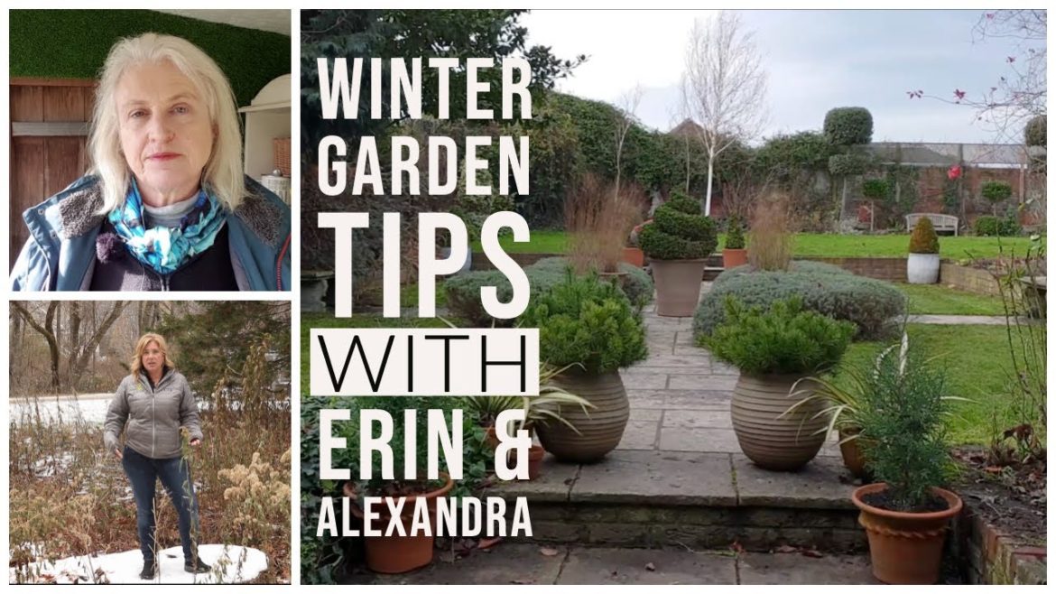 Winter garden tips for YOUR zone