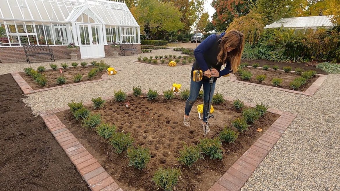 Replacing Boxwoods & Planting Trees and Bulbs!🌳🌷🙌 // Garden Answer