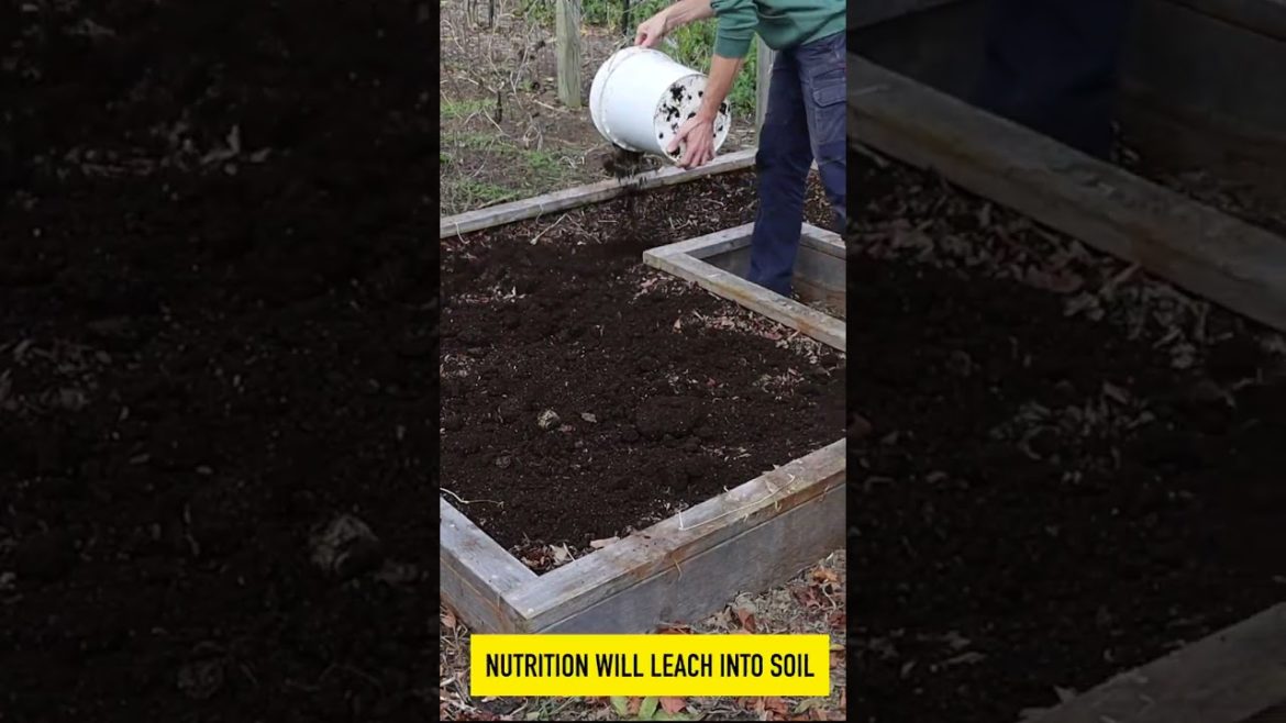 Raised Beds Winter and Spring Prep!