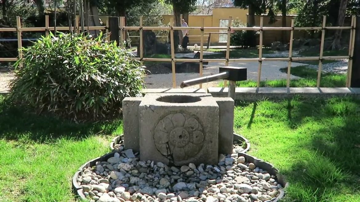 ⛩ japanese garden | stunning | best of vienna | 🍙