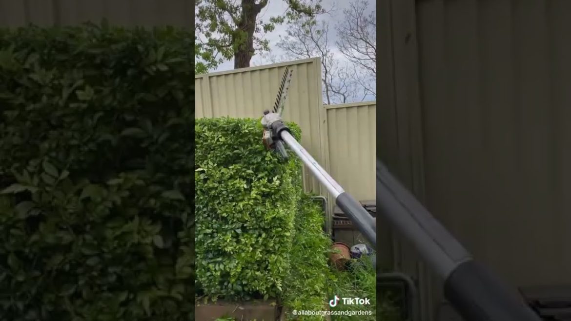 Does Jim's Mowing do hedges?