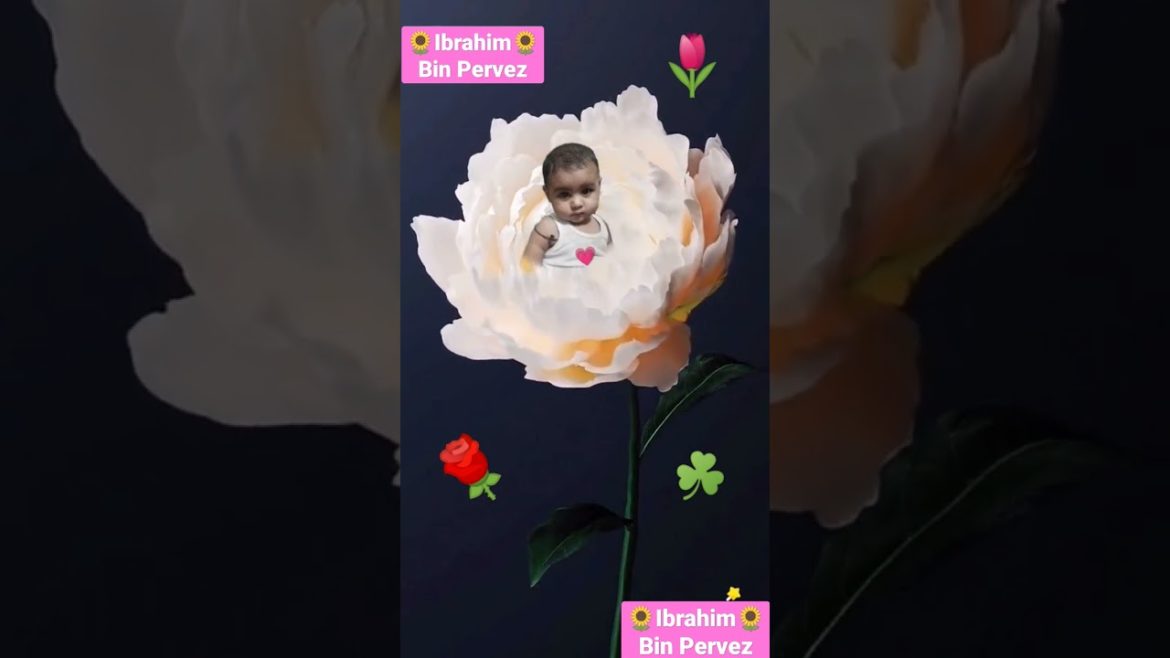 Baby flower | Ibrahim Bin Pervez