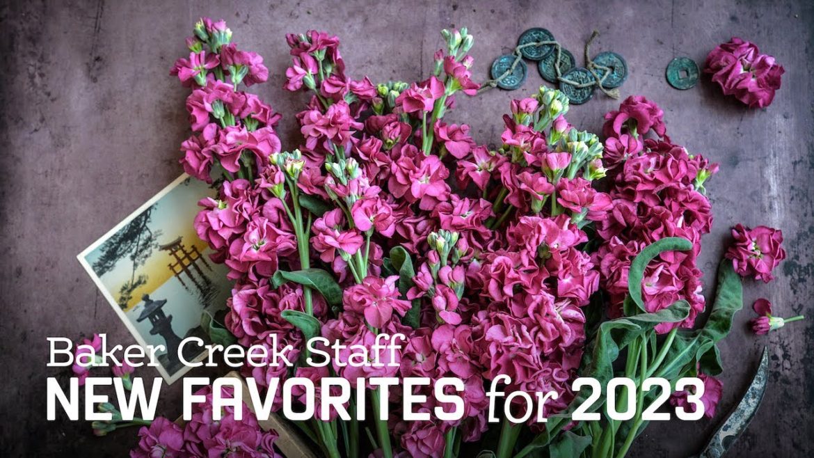 Baker Creek Staff New Favorites for 2023 Baker Creek Staff New Favorites for 2023