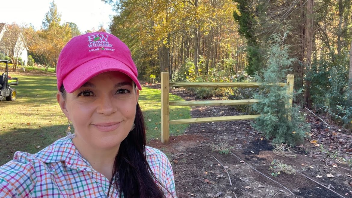 You're Going to Love These New Shrubs | Gardening with Creekside