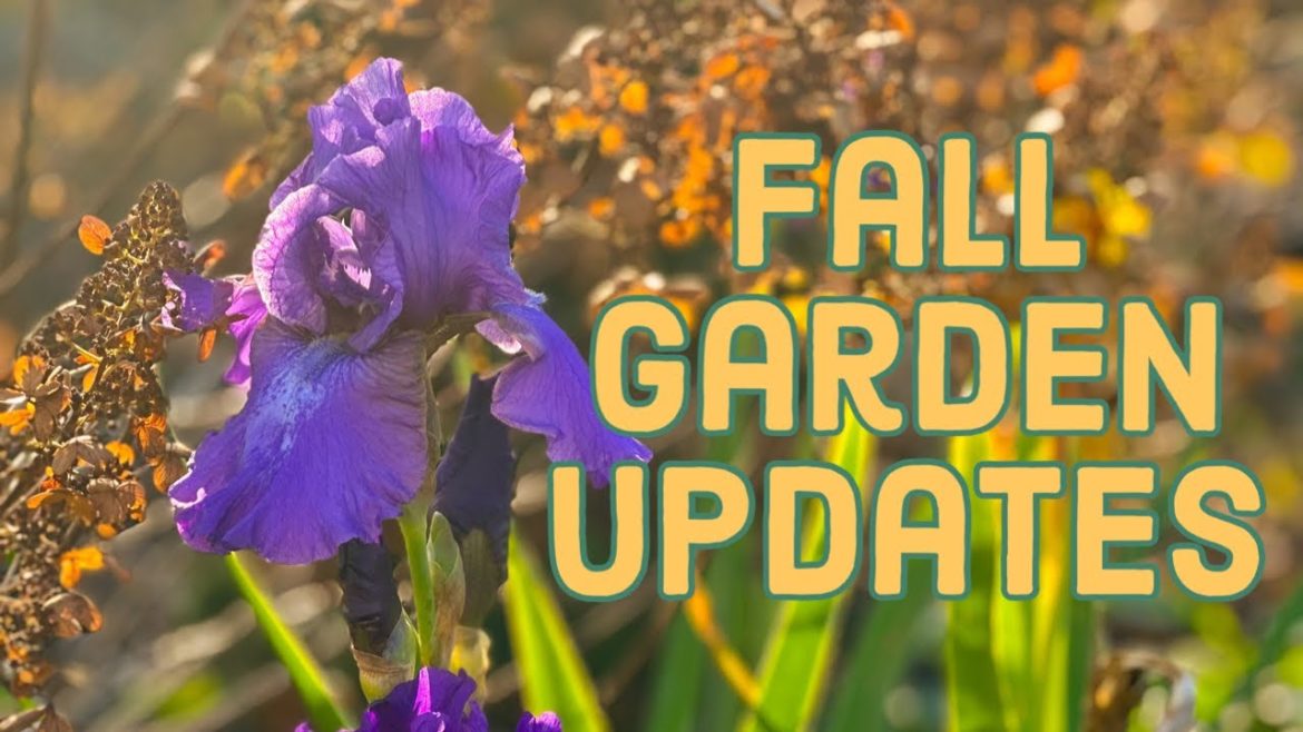 Fall Garden Update & Spring Plans | VLOG | The Southerner's Northern Garden Fall Garden Update & Spring Plans | VLOG | The Southerner's Northern Garden