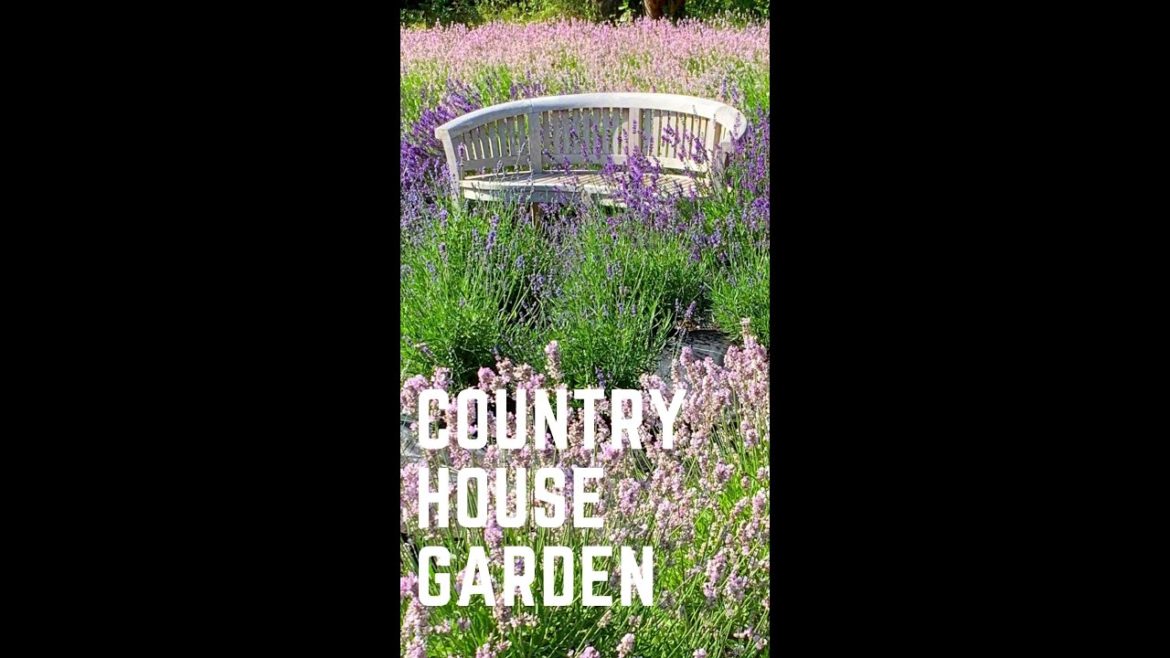 Country House Garden Landscape Design Ideas// Makeover Renovation Inspiration #Shorts #YoutubeShorts Country House Garden Landscape Design Ideas// Makeover Renovation Inspiration #Shorts #YoutubeShorts