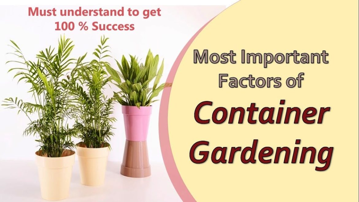 How to start container garden or container gardening How to start container garden or container gardening