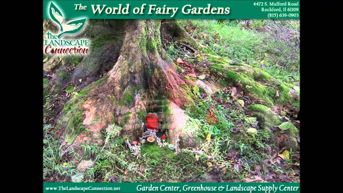 Fairy Gardening, Fairy Gardens, Building a Fairy Garden, How To Build a Fairy Garden