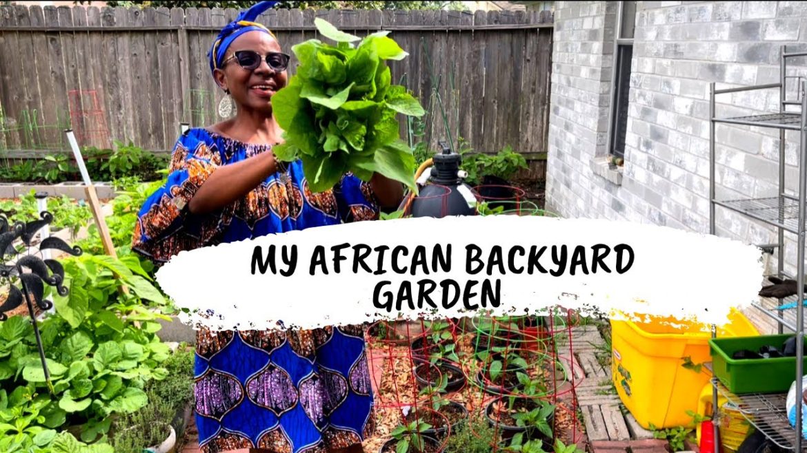 FALL GARDEN TOUR 2022: STOP BY OUR UNIQUE ORGANIC VEGETABLE GARDEN IN TEXAS ZONE 9A