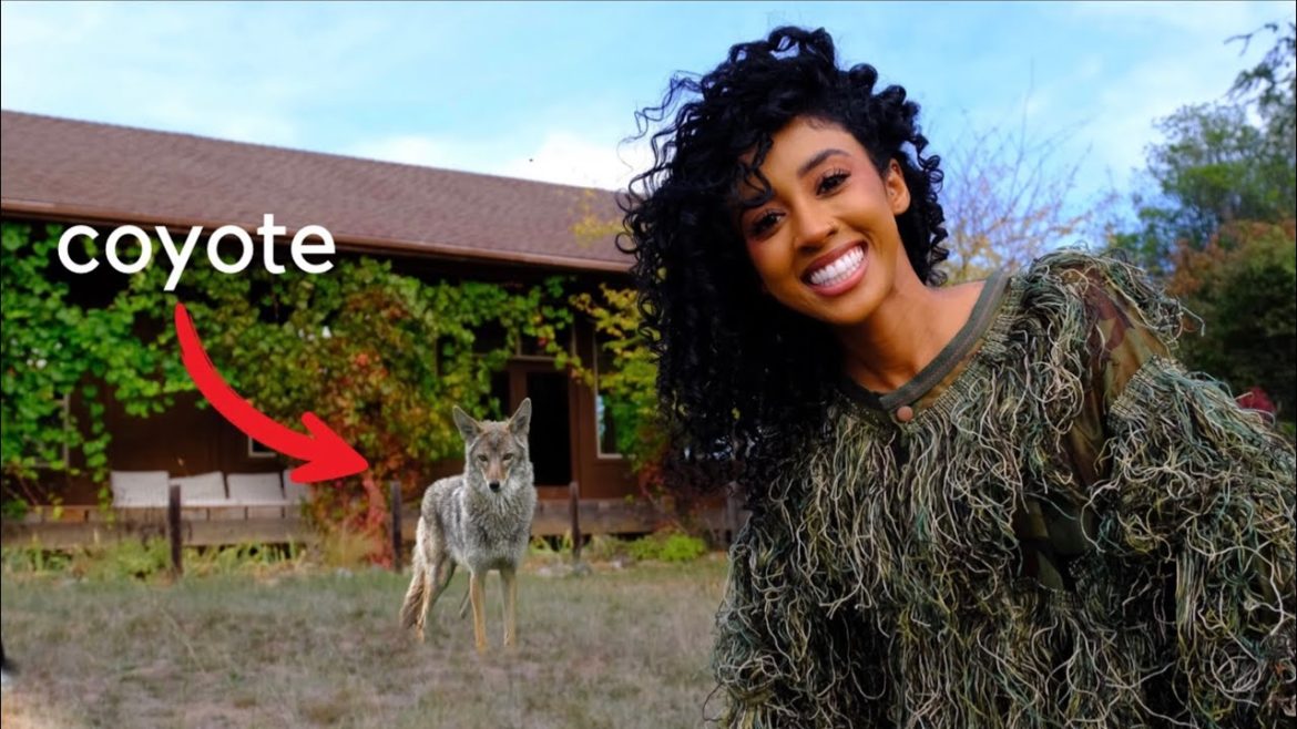 FINDING WILDLIFE IN MY BACKYARD