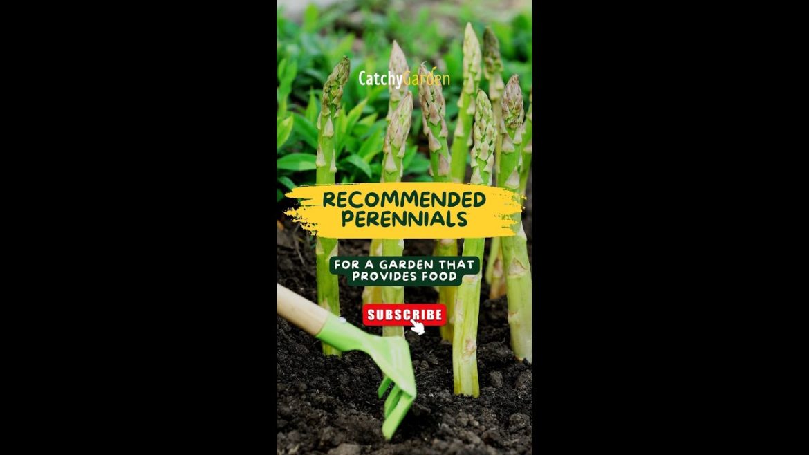 Recommended Perennials for a Garden that Provides Food 🌷🍃🍓 // #short #shorts #shortsvideo Recommended Perennials for a Garden that Provides Food 🌷🍃🍓 // #short #shorts #shortsvideo