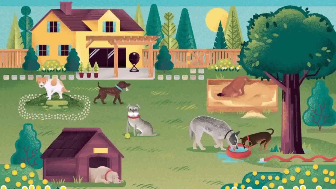 Backyard Design Ideas With Dogs