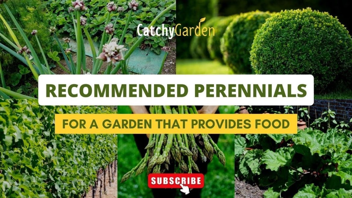 Recommended Perennials for a Garden that Provides Food 🌷🍃🍓
