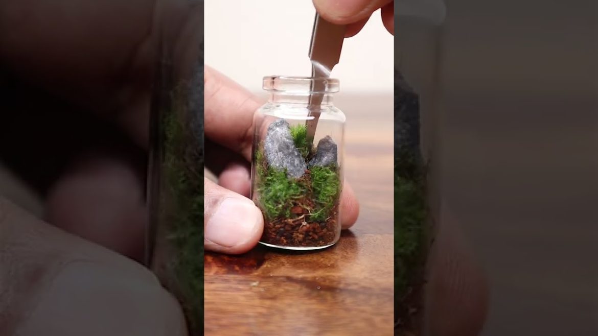 Easy and fun mini moss terrarium #shorts Easy and fun mini moss terrarium #shorts