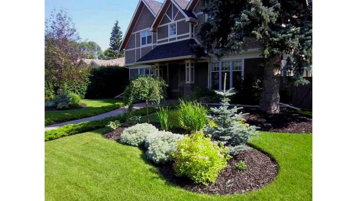Small trees for front garden