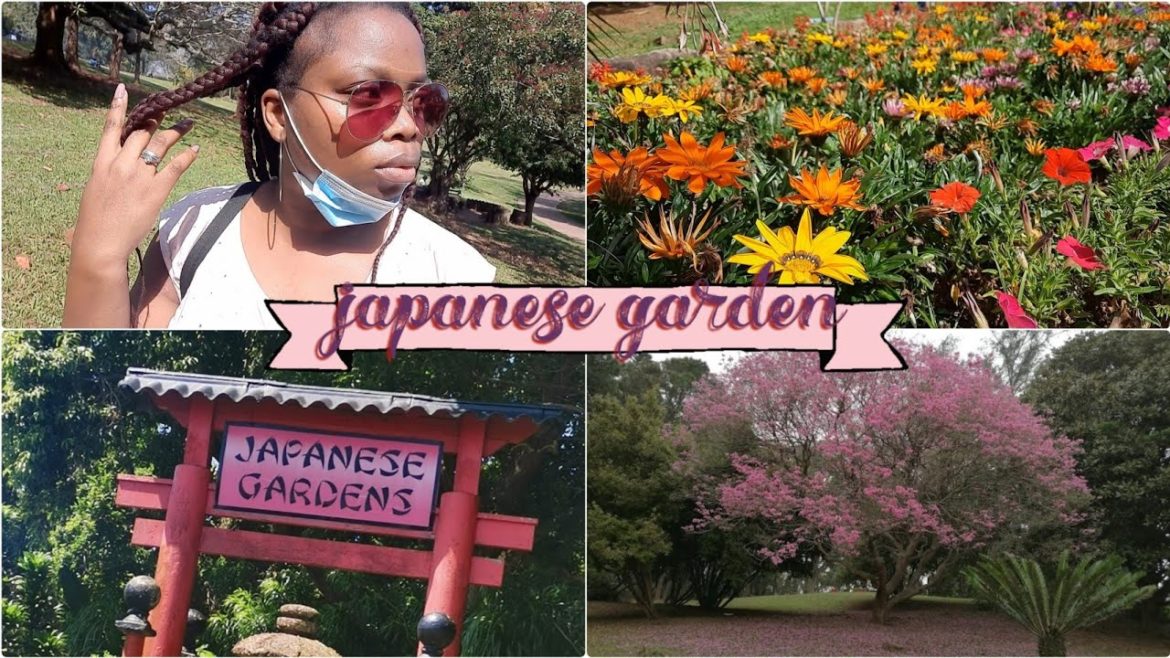 Japanese Garden | Durban North | Things To Do In South Africa | Expat Living | Heritage Day 🇿🇦 Japanese Garden | Durban North | Things To Do In South Africa | Expat Living | Heritage Day 🇿🇦