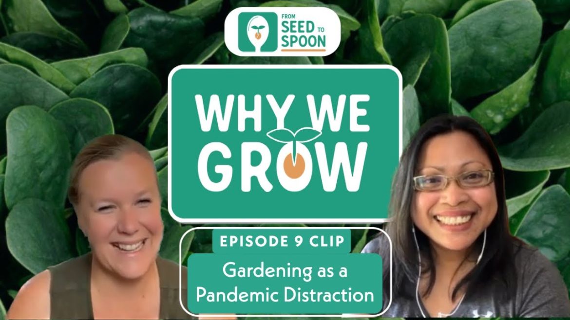 Gardening as a Pandemic Distraction | Clip from Why We Grow Podcast #9