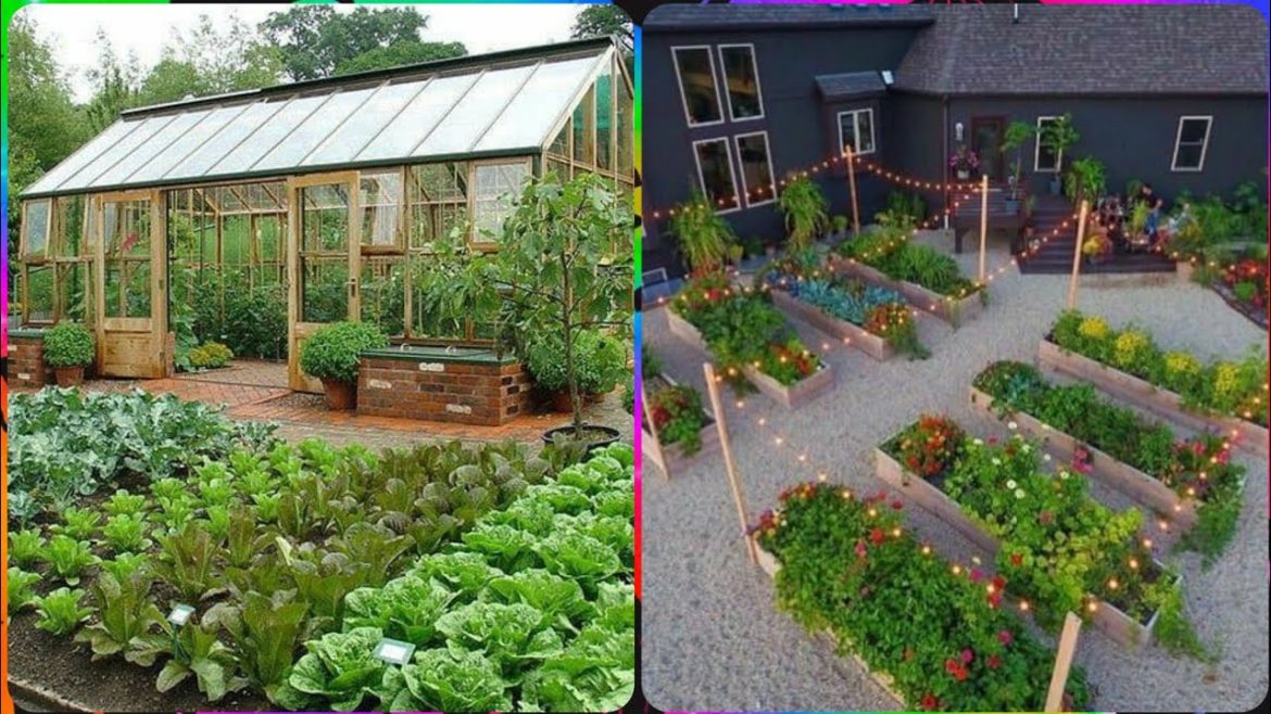 Modern and fabulous vegetable garden ideas and collection for outdoor spaces