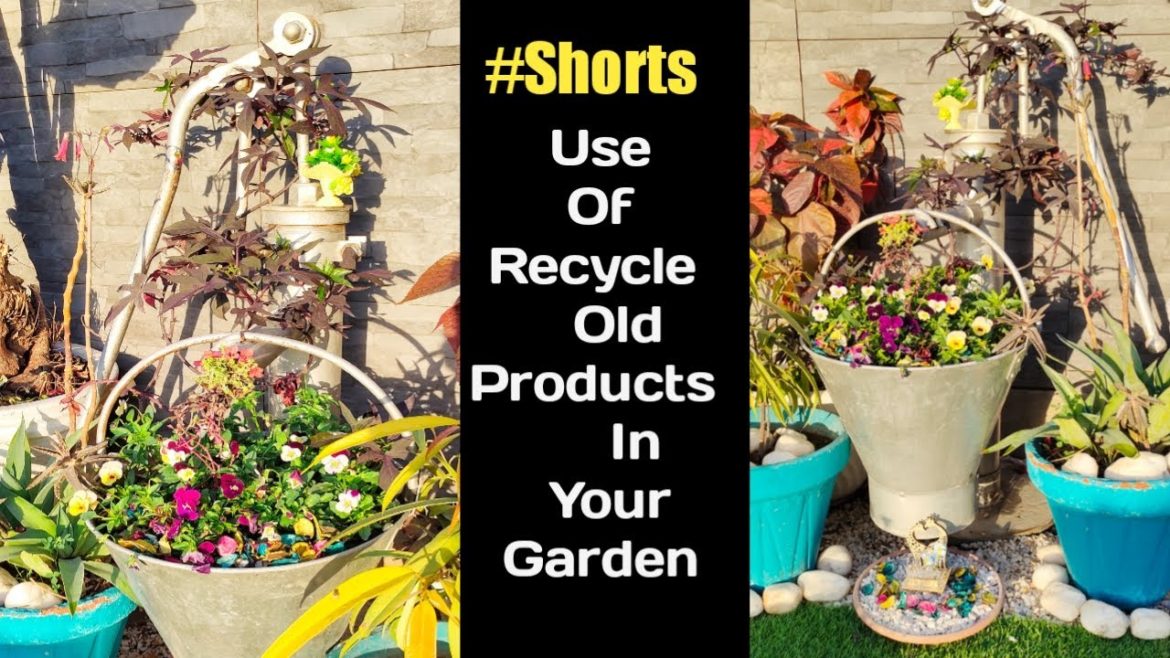 Gardening Shorts video ideas | Use Recycling Products in your garden | Creative gardening ideas
