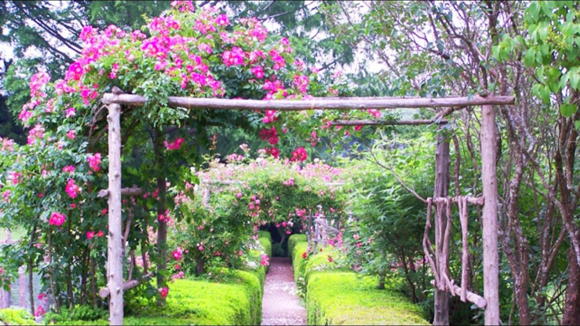 60 Garden Design and Flower Decoration Ideas 2022 - Creative Backyard and Landscape #37