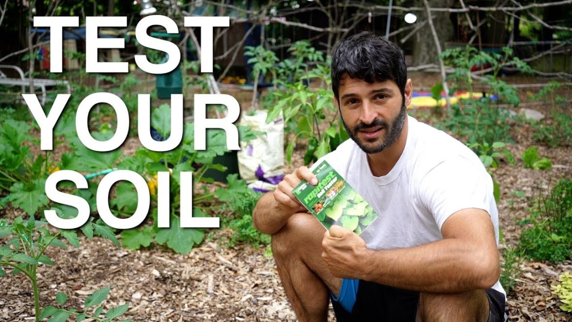 Why it is IMPORTANT to TEST your SOIL and 3 GARDEN TIPS