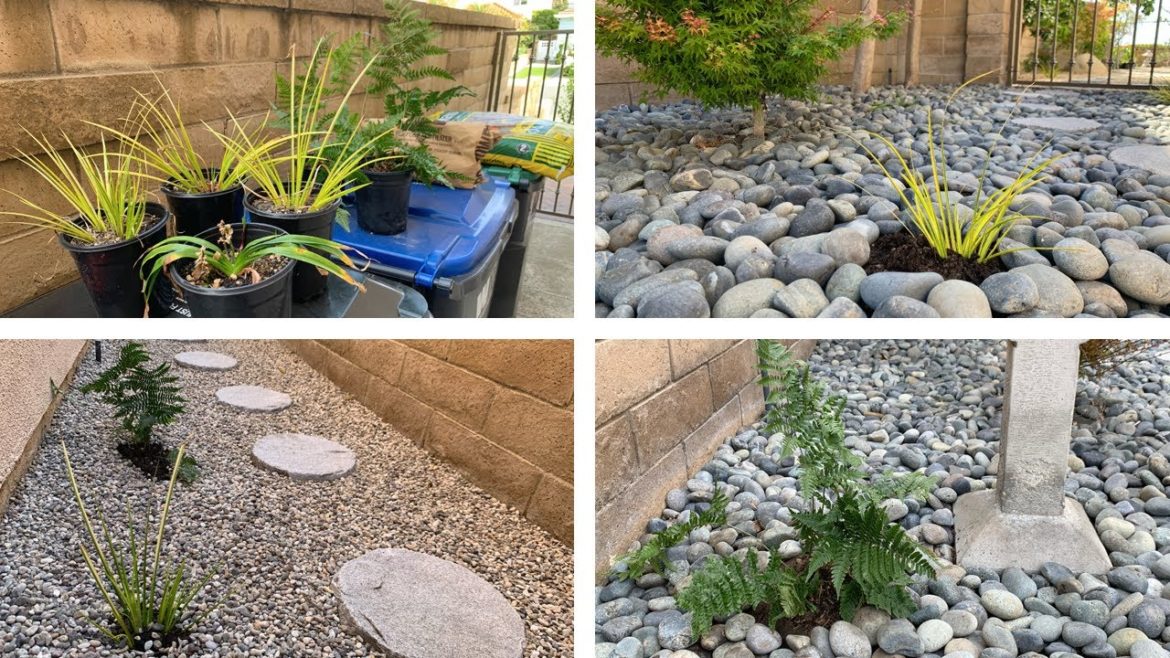 New Spring Plantings, 枯山水 Japanese Karesansui Dry Rock Garden [Mar.-Apr. 2022]