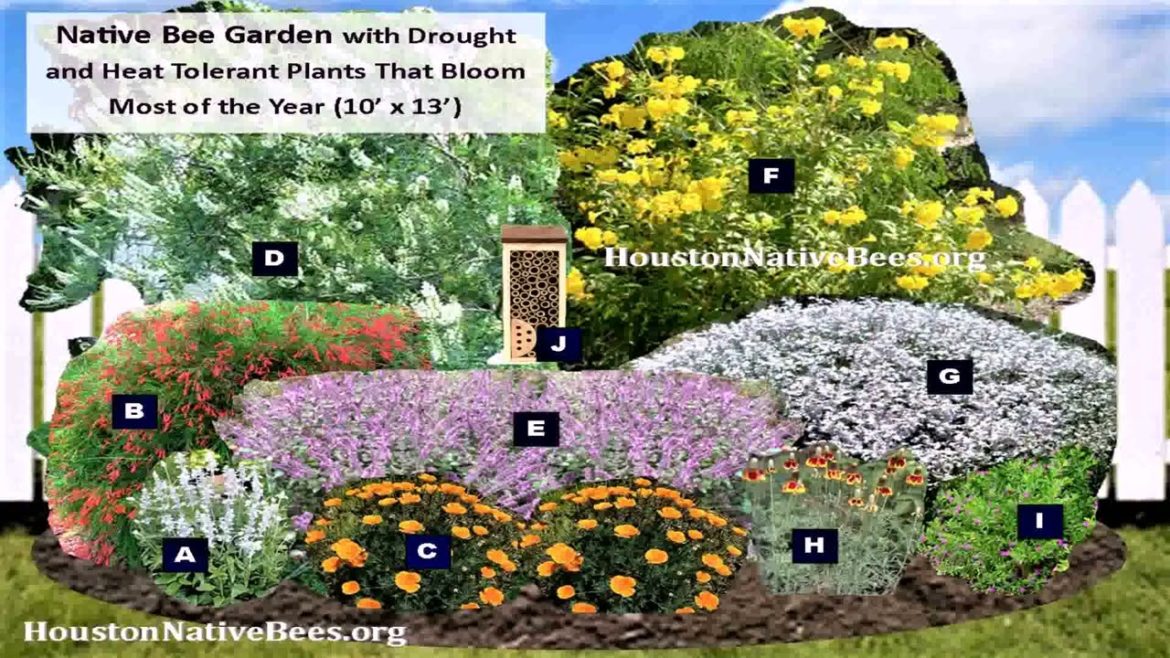 Texas Garden Design Ideas