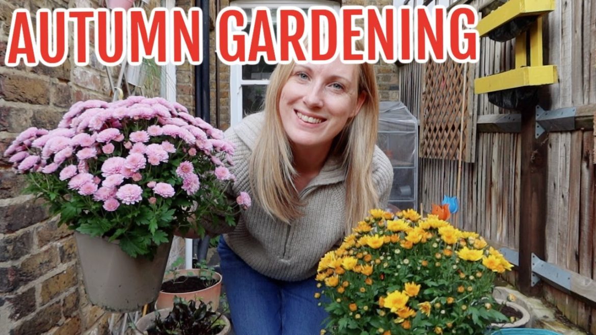 #ad AUTUMN GARDEN CLEAN UP / ALLOTMENT GARDENING FOR BEGINNERS