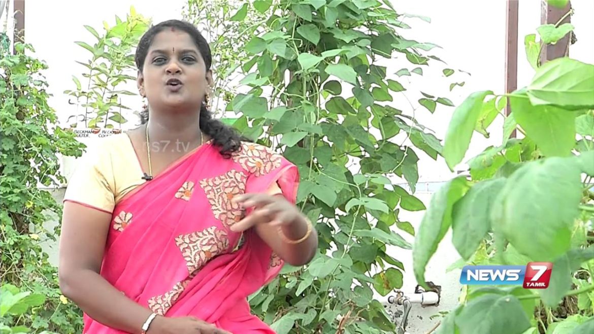 Tips to setup perfect kitchen garden in your home | Poovali | News7 Tamil Tips to setup perfect kitchen garden in your home | Poovali | News7 Tamil