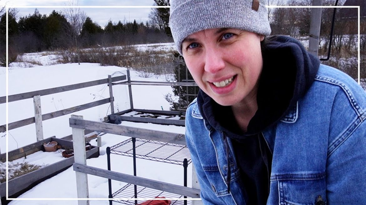 Life Update, and Garden Plans