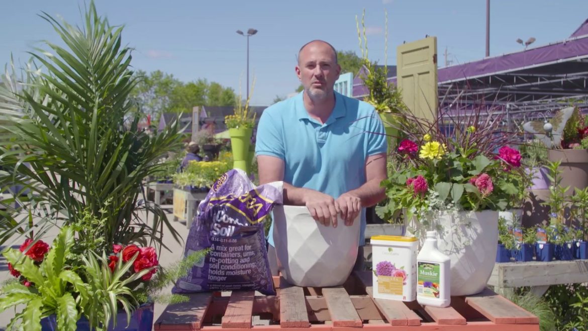 Container Gardening with TERRA Featuring Carson Arthur