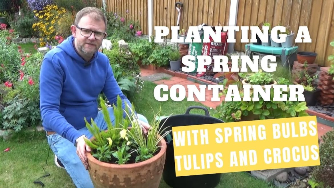 Planting Tulips in Pots | How to Plant a Winter Container | Autumn Bulb Planting | Spring Bulbs Planting Tulips in Pots | How to Plant a Winter Container | Autumn Bulb Planting | Spring Bulbs