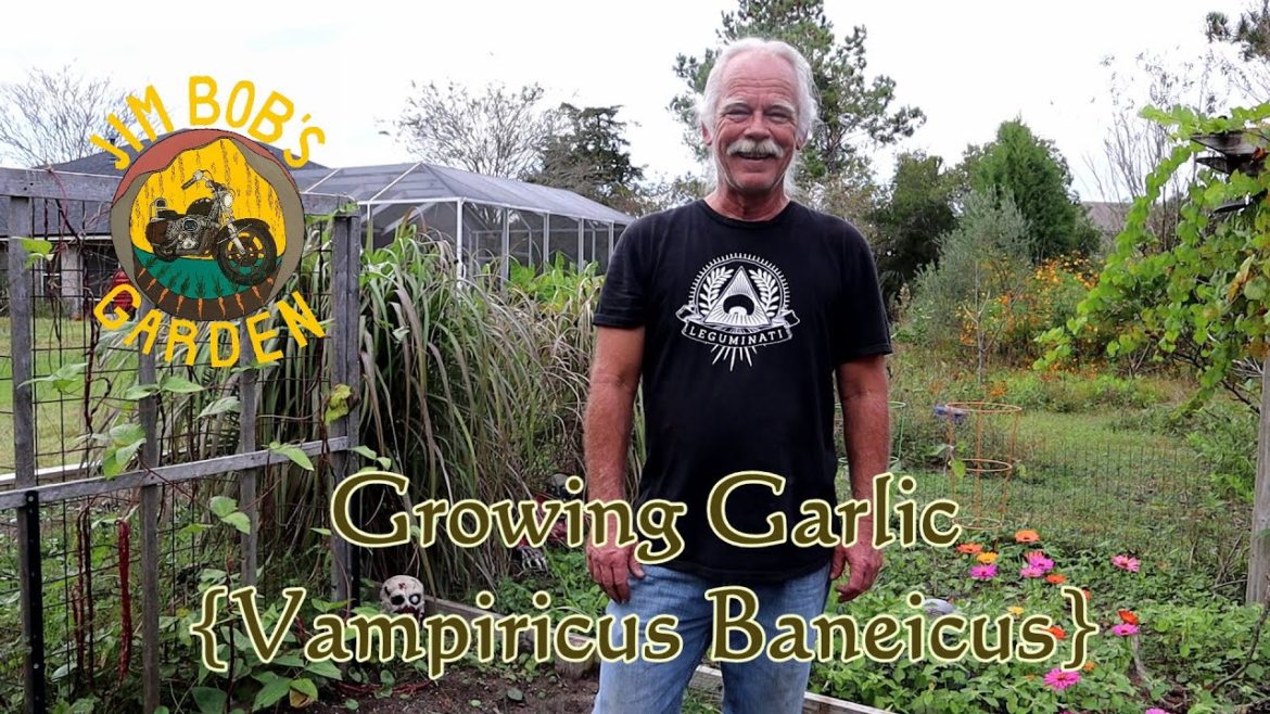 Growing Garlic (Vampiricus Baneicus) Growing Garlic (Vampiricus Baneicus)