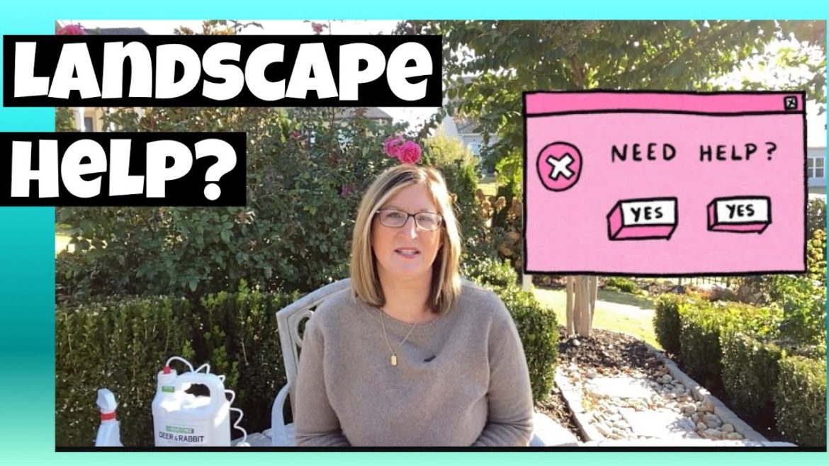 I WANT A FLOWER GARDEN, HOWEVER,  I DO NOT KNOW WHERE TO START: HOW TO PLAN A LANDSCAPE GARDEN