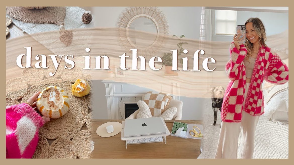 DAY IN THE LIFE | book club, new camera, antique haul, & pumpkin latte! DAY IN THE LIFE | book club, new camera, antique haul, & pumpkin latte!