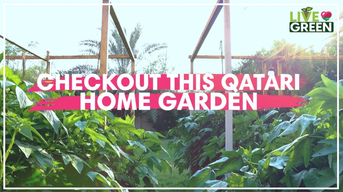 How is a Qatari woman spreading the culture of gardening in Qatar? | Live Green | Ep 24 How is a Qatari woman spreading the culture of gardening in Qatar? | Live Green | Ep 24
