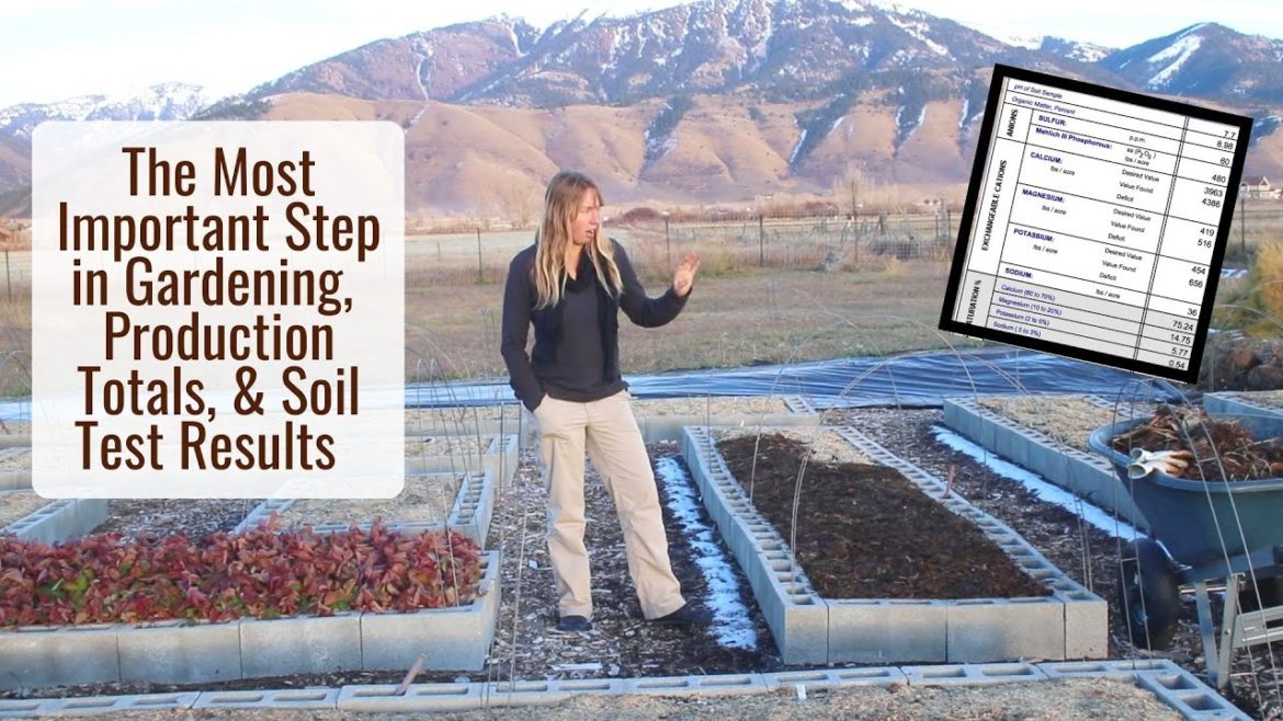 The Most Important Step in Gardening! How Much Did the Garden Produce this Year? & Soil Test Results The Most Important Step in Gardening! How Much Did the Garden Produce this Year? & Soil Test Results