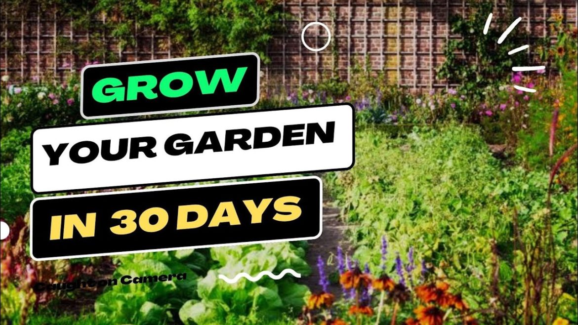 Easiest way to grow Top 8 Vegetables at Home/Garden | Small space gardening Easiest way to grow Top 8 Vegetables at Home/Garden | Small space gardening